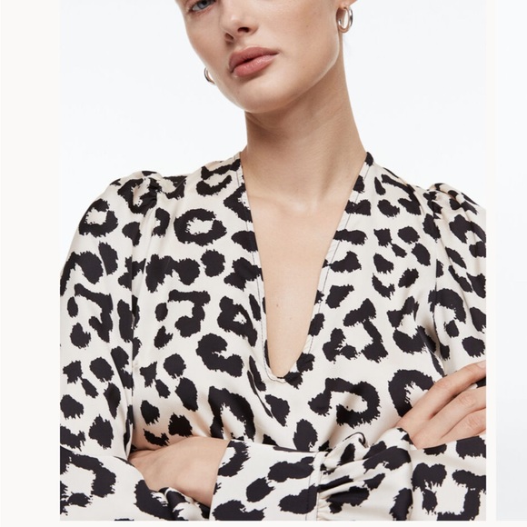 H&M Animal Print Balloon Sleeved Satin‎ Dress - Picture 12 of 16